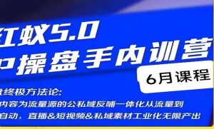 红蚁5.0IP操盘手内训营,IP操盘终极方法论-苏柒资源库