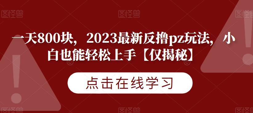 一天800块，2023最新反撸pz玩法，小白也能轻松上手【仅揭秘】-苏柒资源库