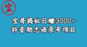 宝哥揭秘日赚3000+抖音励志语录号短视频变现项目-苏柒资源库