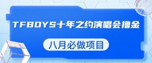 最新蓝海项目,靠最近非常火的TFBOYS十年之约演唱会流量掘金,八月必做的项目【揭秘】-苏柒资源库