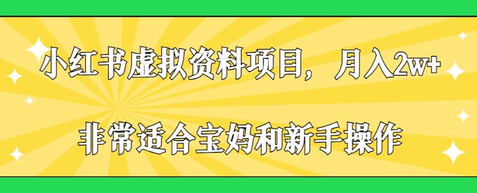 小红书虚拟资料项目，月入2w+，非常适合宝妈和新手操作【揭秘】-苏柒资源库
