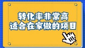 小红书虚拟电商项目:从小白到精英(视频课程+交付手册)-苏柒资源库