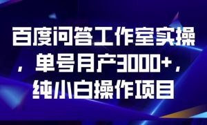 百度问答工作室实操,单号月产3000+,纯小白操作项目【揭秘】-苏柒资源库