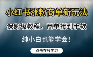 小红书涨粉商单新玩法,保姆级教程,商单接到手软,纯小白也能学会【揭秘】-苏柒资源库