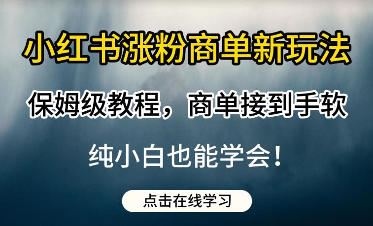 小红书涨粉商单新玩法，保姆级教程，商单接到手软，纯小白也能学会【揭秘】-苏柒资源库