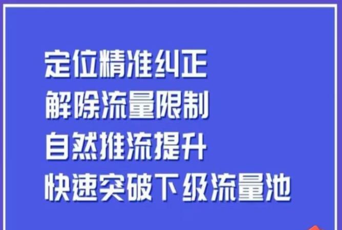 同城账号付费投放运营优化提升，​定位精准纠正，解除流量限制，自然推流提升，极速突破下级流量池-苏柒资源库