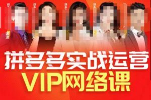 推易拼多多VIP全套直播课程,拼多多店铺实操玩法+实战玩法选款内功+直通车高阶等-苏柒资源库