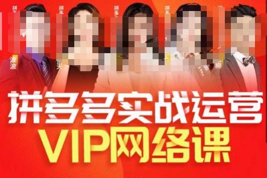 推易拼多多VIP全套直播课程，拼多多店铺实操玩法+实战玩法选款内功+直通车高阶等-苏柒资源库