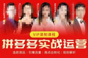 2023推易拼多多实战运营,选款测品、引爆流量、高点击转化、规则解析-苏柒资源库