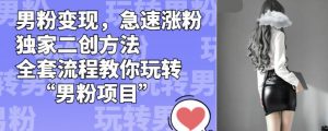 男粉变现,急速涨粉独家二创方法,全套流程教你玩转“男粉项目”【揭秘】-苏柒资源库