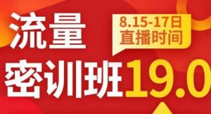 秋秋线上流量密训班19.0,打通流量关卡,线上也能实战流量破局-苏柒资源库