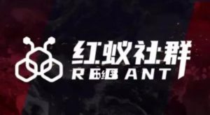 社群运营:红蚁社群【48节落地系统课程+2000人高端社群】-苏柒资源库