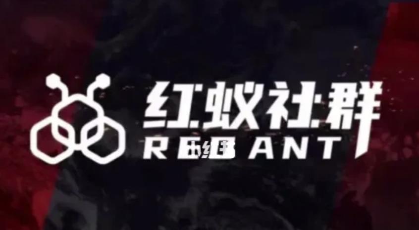 社群运营:红蚁社群【48节落地系统课程+2000人高端社群】-苏柒资源库