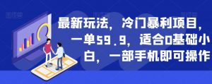 最新玩法，冷门暴利项目，一单59.9，适合0基础小白，一部手机即可操作【揭秘】-苏柒资源库