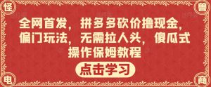 全网首发，拼多多砍价撸现金，偏门玩法，无需拉人头，傻瓜式操作保姆教程【揭秘】-苏柒资源库