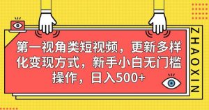 第一视角类短视频，更新多样化变现方式，新手小白无门槛操作，日入500+【揭秘】-苏柒资源库