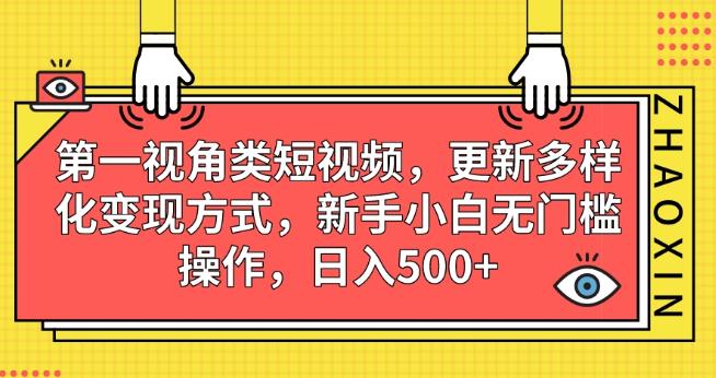 第一视角类短视频，更新多样化变现方式，新手小白无门槛操作，日入500+【揭秘】-苏柒资源库