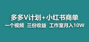 【蓝海项目】多多v计划+小红书商单一个视频三份收益工作室月入10w-苏柒资源库