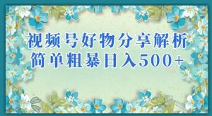 视频号好物分享解析，简单粗暴可以批量方大的项目【揭秘】-苏柒资源库