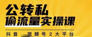 群响公转私偷流量实操课,致力于拥有更多自持,持续,稳定,精准的私域流量!-苏柒资源库