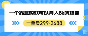 一单卖299-2688,一个靠复购就可以月入6k的暴利项目【揭秘】-苏柒资源库