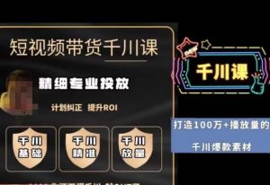 短视频带货-千川专业投放课,精细化专业投放,计划纠正,提升ROI-苏柒资源库