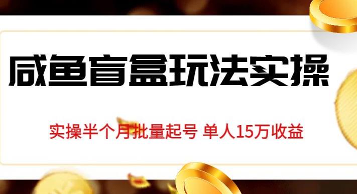 独家首发咸鱼盲盒玩法实操，半个月批量起号单人15万收益【揭秘】-苏柒资源库