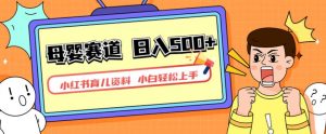 小红书育儿资料，一部手机可操作，多种变现方式，日入500+，私域变现，长期可持续项目【揭秘】-苏柒资源库