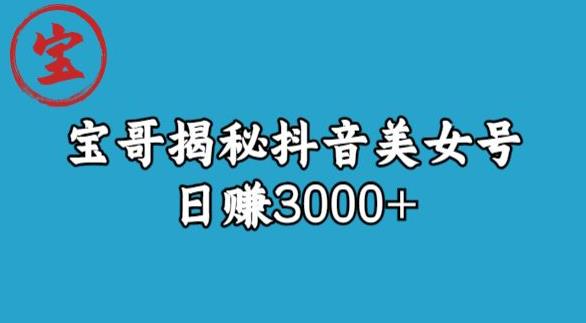 宝哥揭秘抖音美女号玩法，日赚3000+【揭秘】-苏柒资源库