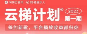 2023年8月份网易云最新独家挂机技术,真正实现挂机月入5000【揭秘】-苏柒资源库
