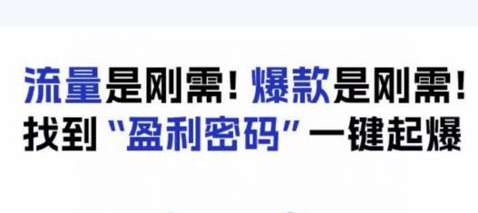 电商盈利精品课：6大盈利密码让产品更好卖，流量是刚需！爆款是刚需！找到”盈利密码”一键起爆-苏柒资源库