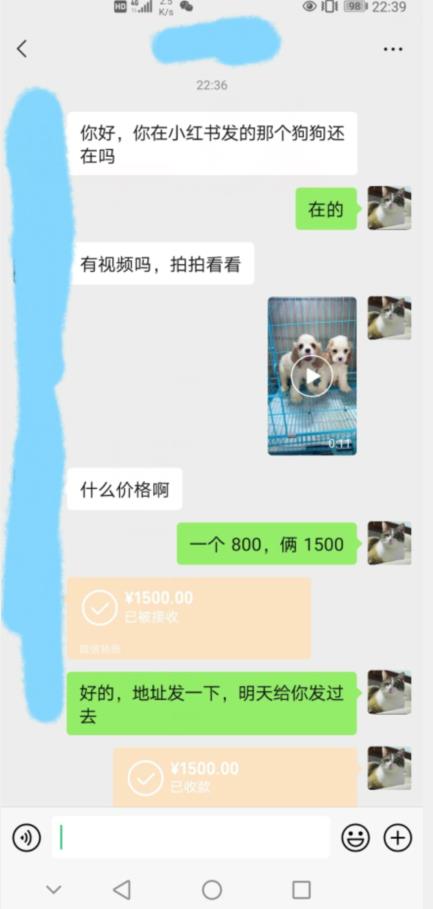 外边收费3980的同城萌宠项目，用最冷门的玩法冲击最热门的市场【揭秘】-苏柒资源库