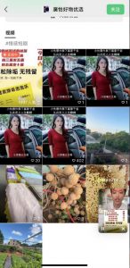 外面收费198的最新视频号连怼技术,条条原创,条条爆单【揭秘】-苏柒资源库