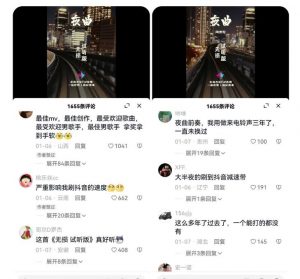 副业拆解:抖音杰伦音乐号涨粉变现项目,视频版一条龙实操玩法分享给你-苏柒资源库