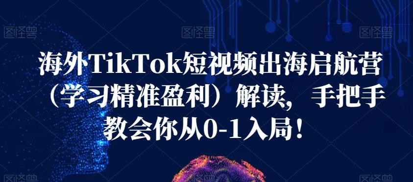 海外TikTok短视频出海启航营（学习精准盈利）解读，手把手教会你从0-1入局！-苏柒资源库