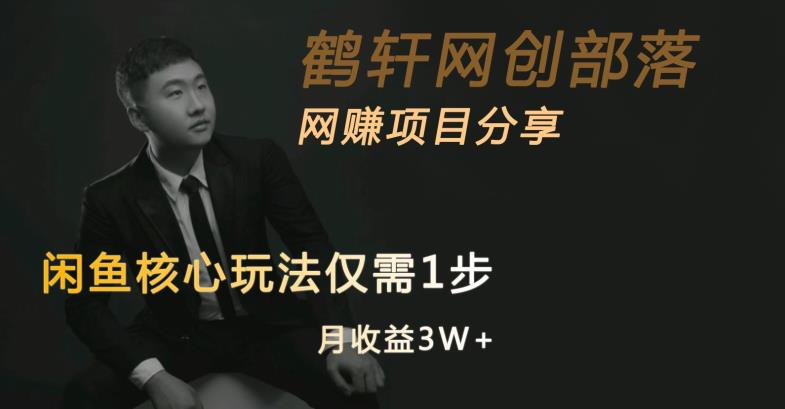 闲鱼核心玩法不卖货也能1年变现20W，玩法简单-苏柒资源库
