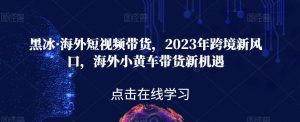 黑冰·海外短视频带货,2023年跨境新风口,海外小黄车带货新机遇-苏柒资源库