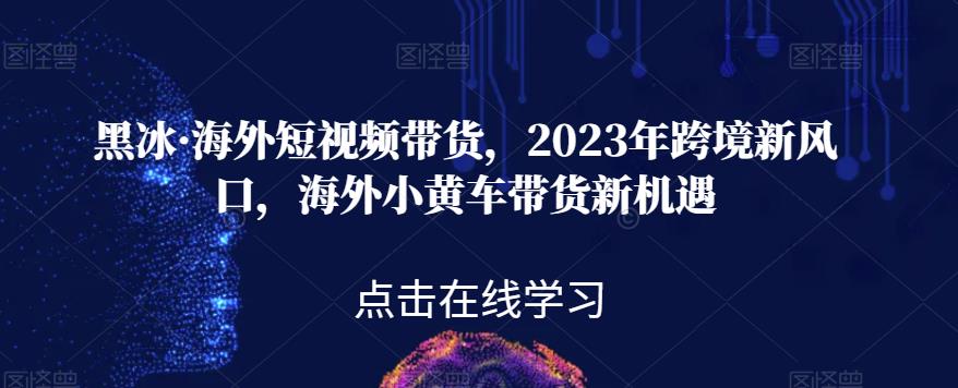 黑冰·海外短视频带货，2023年跨境新风口，海外小黄车带货新机遇-苏柒资源库