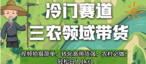 冷门赛道三农领域带货，视频拍摄简单，转化高带货强，农村必做！【揭秘】-苏柒资源库