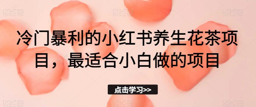 冷门暴利的小红书养生花茶项目，最适合小白做的项目【揭秘】-苏柒资源库
