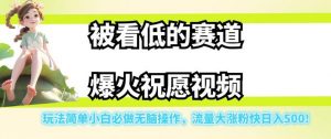 被看低的赛道爆火祝愿视频，玩法简单小白必做无脑操作，流量大涨粉快日入500-苏柒资源库