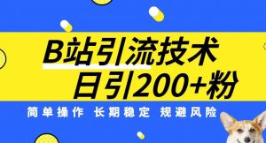 B站引流技术：每天引流200精准粉，简单操作，长期稳定，规避风险-苏柒资源库