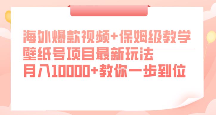 海外爆款视频+保姆级教学，壁纸号项目最新玩法，月入10000+教你一步到位【揭秘】-苏柒资源库
