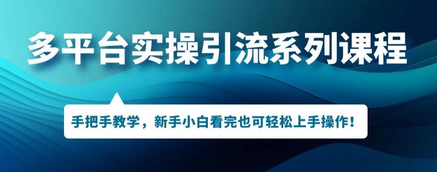 多平台引流实操系列课程，新手小白看完也可轻松上手进行引流操作-苏柒资源库