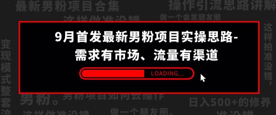 9月首发最新男粉项目实操思路-需求有市场，流量有渠道【揭秘】-苏柒资源库
