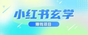 小红书玄学项目,直接上手操作,日入500【揭秘】-苏柒资源库