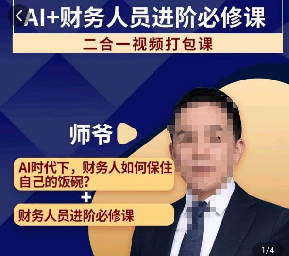 AI+财务人员进阶必修课二合一视频打包课，财务人员进阶必修课-苏柒资源库