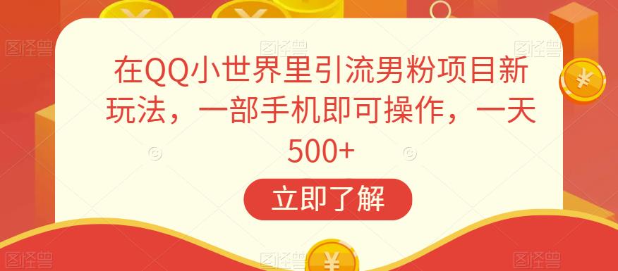 在QQ小世界里引流男粉项目新玩法，一部手机即可操作，一天500+【揭秘】-苏柒资源库