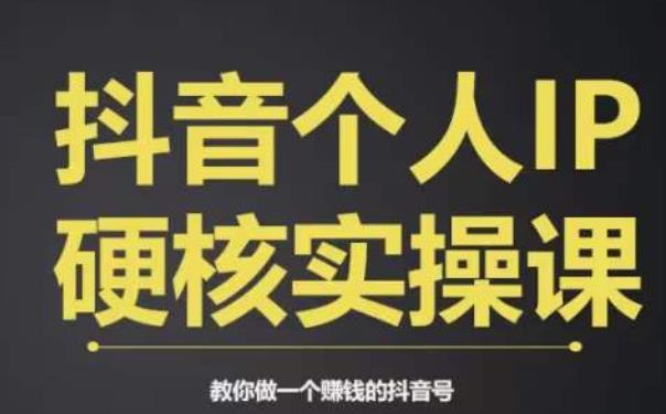 个人IP创富系统实战课，商业定位，流量打造，短视频变现，教你做个赚钱的抖音号-苏柒资源库