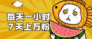 暴力涨粉项目:每天一小时,七天上万粉【揭秘】-苏柒资源库